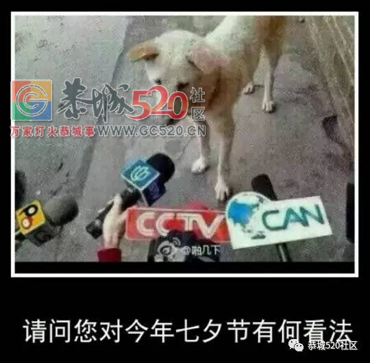 恭城单身机会来了，小编邀你做“七天情侣”，体验一周的脱单生活305 / 作者:社区小编 / 帖子ID:235541