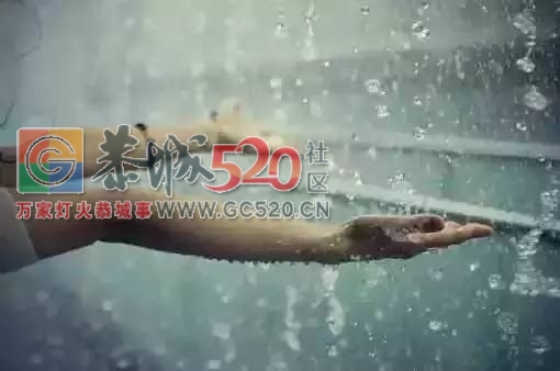 恭城单身机会来了，小编邀你做“七天情侣”，体验一周的脱单生活100 / 作者:社区小编 / 帖子ID:235541
