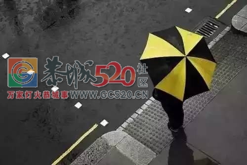 恭城单身机会来了，小编邀你做“七天情侣”，体验一周的脱单生活338 / 作者:社区小编 / 帖子ID:235541