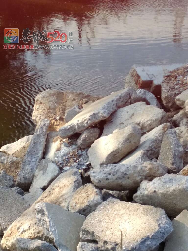 龙虎乡实乐村河边变建筑垃圾场了，希望有关部门能及时作出调查处理121 / 作者:歌声回荡 / 帖子ID:235551