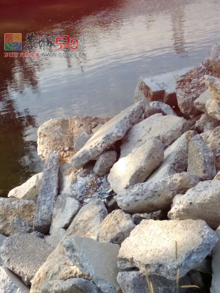 龙虎乡实乐村河边变建筑垃圾场了，希望有关部门能及时作出调查处理493 / 作者:歌声回荡 / 帖子ID:235551