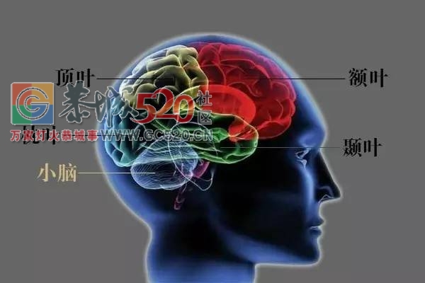 脸盲症：一种连亲妈都不认识的病499 / 作者:疾控客服 / 帖子ID:235570