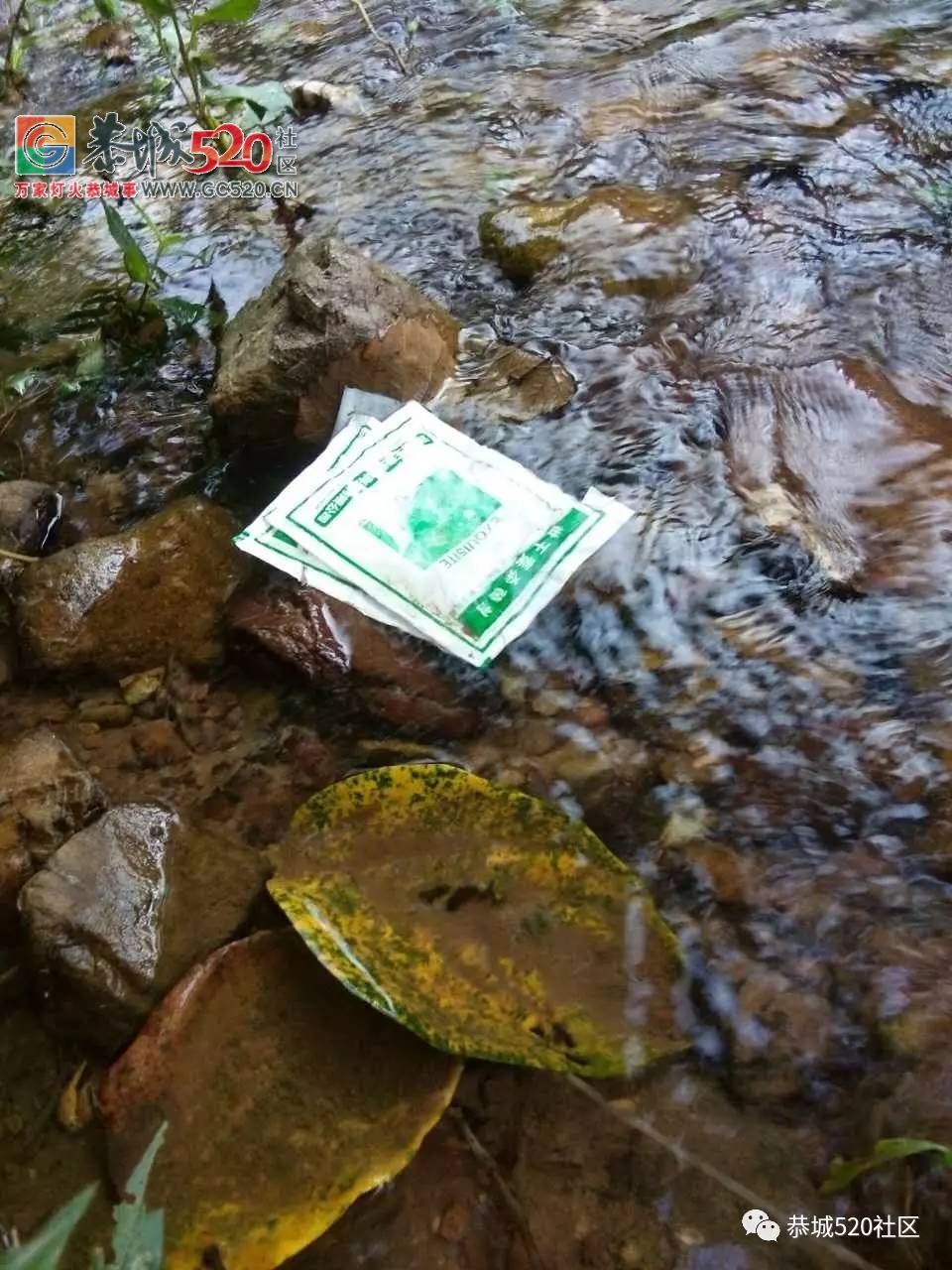 【恭城身边事】电鱼现象屡禁不止引热议|嘉会蔡家坝村农药垃圾随处扔369 / 作者:社区小编 / 帖子ID:235611