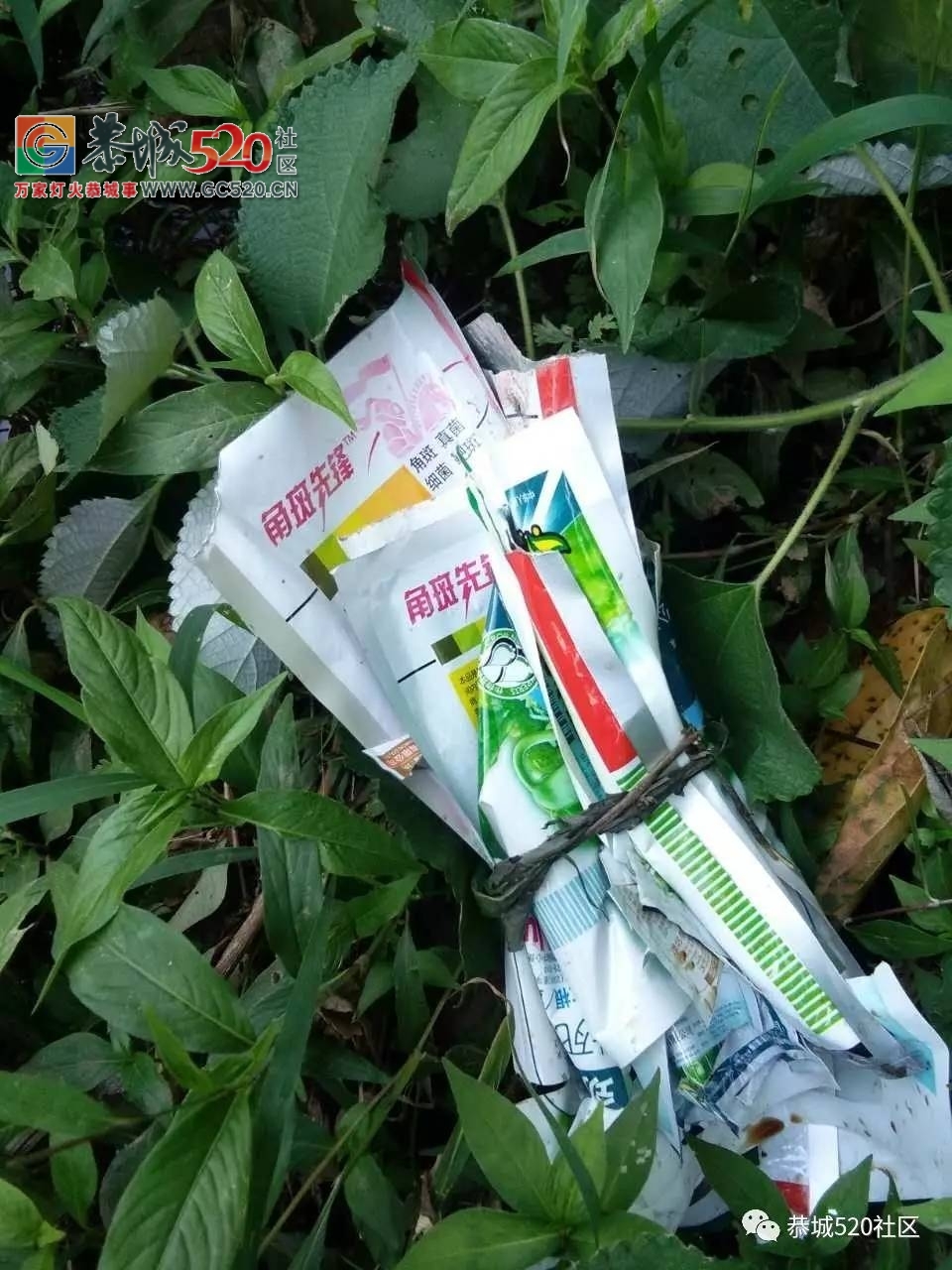 【恭城身边事】电鱼现象屡禁不止引热议|嘉会蔡家坝村农药垃圾随处扔940 / 作者:社区小编 / 帖子ID:235611