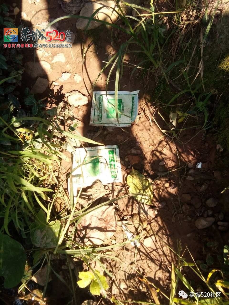 【恭城身边事】电鱼现象屡禁不止引热议|嘉会蔡家坝村农药垃圾随处扔440 / 作者:社区小编 / 帖子ID:235611