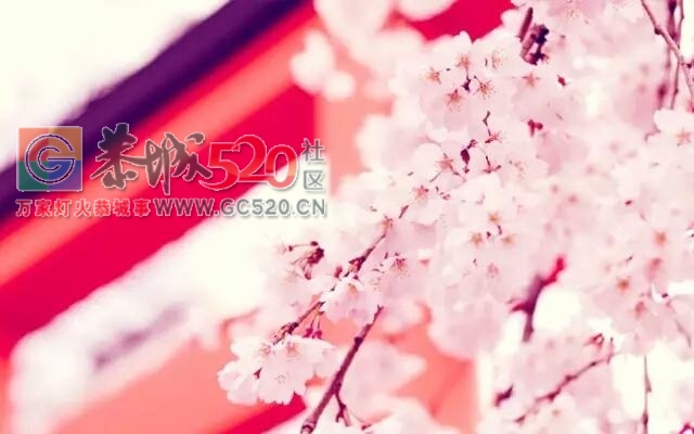 做人，莫要嘴上一套，心里一套477 / 作者:高负帅 / 帖子ID:235669
