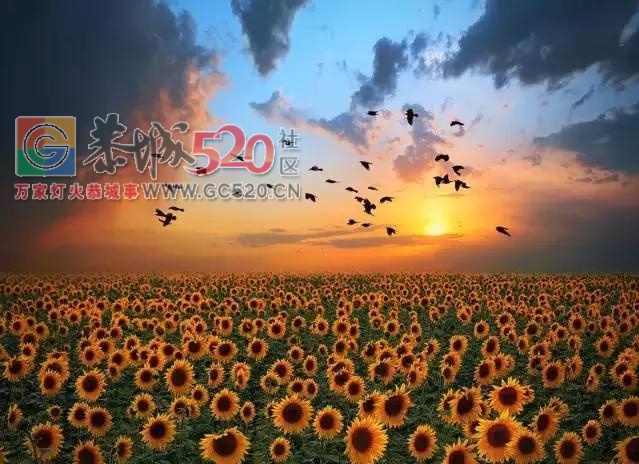 做人，莫要嘴上一套，心里一套260 / 作者:高负帅 / 帖子ID:235669