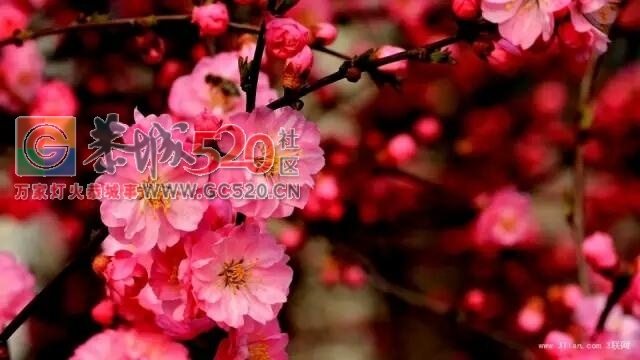 做人，莫要嘴上一套，心里一套891 / 作者:高负帅 / 帖子ID:235669