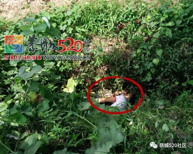 恭城孟家路口一江永班为避让“打屁虫”发生车祸，“打屁虫”司机重伤477 / 作者:社区小编 / 帖子ID:235702