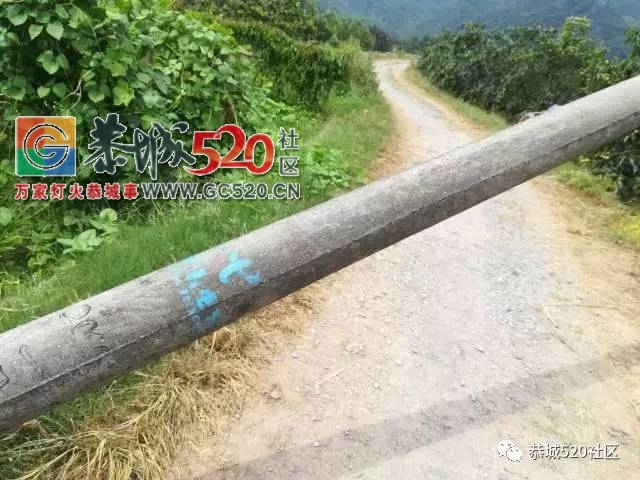 【恭城身边事】 西岭污水管埋放，这些人却...|林家埠电线杆断裂多日无人处理829 / 作者:社区小编 / 帖子ID:235716