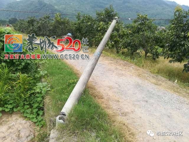 【恭城身边事】 西岭污水管埋放，这些人却...|林家埠电线杆断裂多日无人处理657 / 作者:社区小编 / 帖子ID:235716