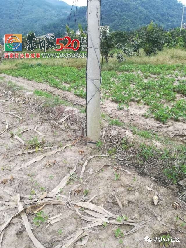 【恭城身边事】 西岭污水管埋放，这些人却...|林家埠电线杆断裂多日无人处理613 / 作者:社区小编 / 帖子ID:235716
