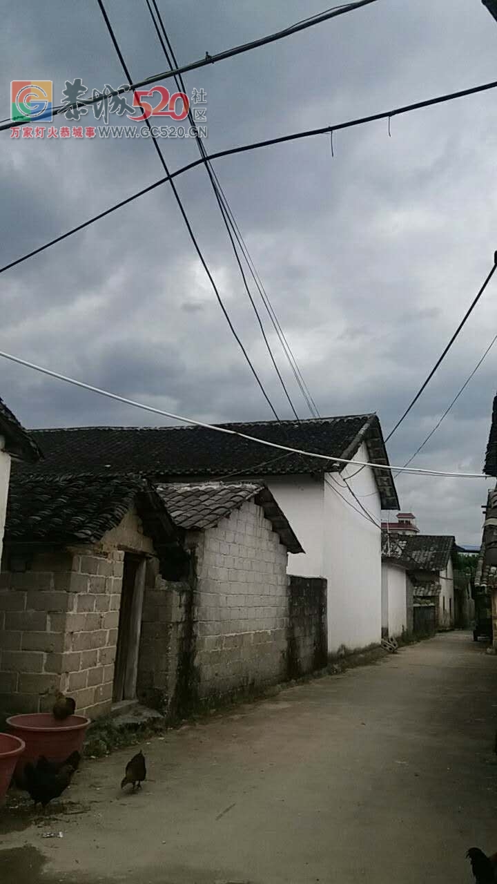 恭城栗木车田村农网改造搞得像蜘蛛网一样，乱拉乱扯无人管561 / 作者:登山涉水 / 帖子ID:235739
