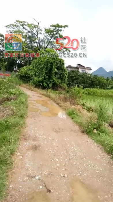 村村通水泥路，恭城西岭乡螃蟹坝村却没有反应，希望快点修好了344 / 作者:jphzy / 帖子ID:235750