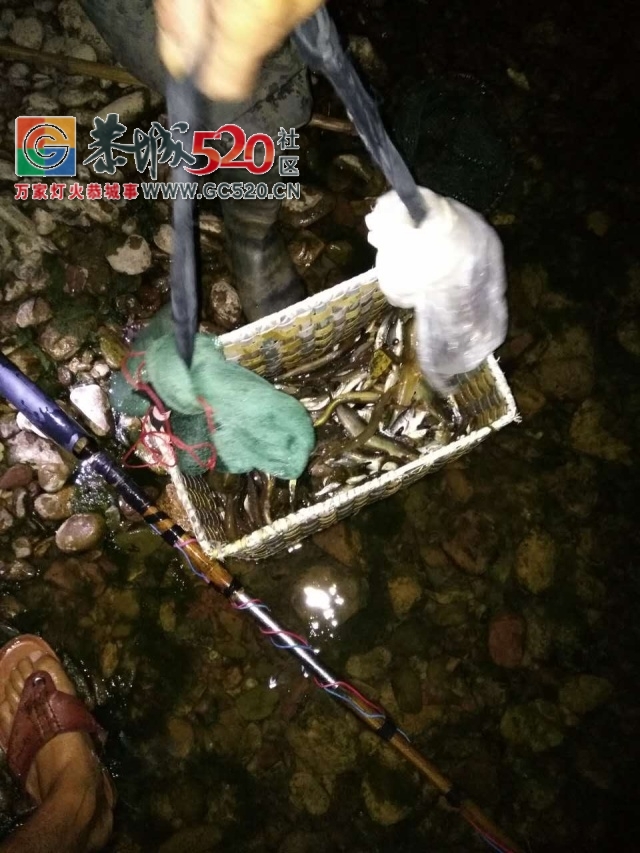 嚣张男子凌晨在栗木石头村电鱼被村民阻拦后，竟要电人！625 / 作者:社区小编 / 帖子ID:235775