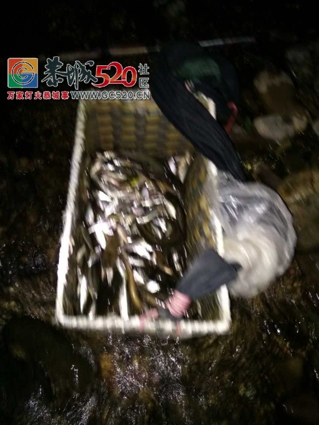嚣张男子凌晨在栗木石头村电鱼被村民阻拦后，竟要电人！375 / 作者:社区小编 / 帖子ID:235775