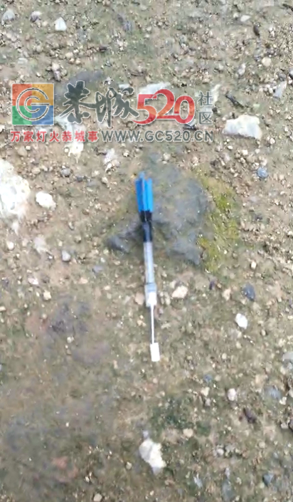 嚣张偷狗贼，真是欠揍！538 / 作者:逢时 / 帖子ID:235897
