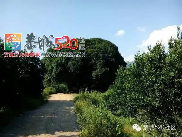 小编带你走进平安对河村，感受这里的魅力山水775 / 作者:社区小编 / 帖子ID:235912