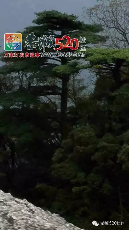 小编带你走进平安对河村，感受这里的魅力山水696 / 作者:社区小编 / 帖子ID:235912