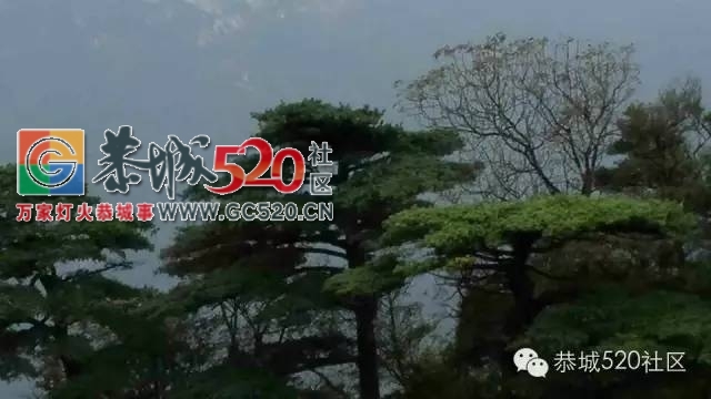 小编带你走进平安对河村，感受这里的魅力山水315 / 作者:社区小编 / 帖子ID:235912