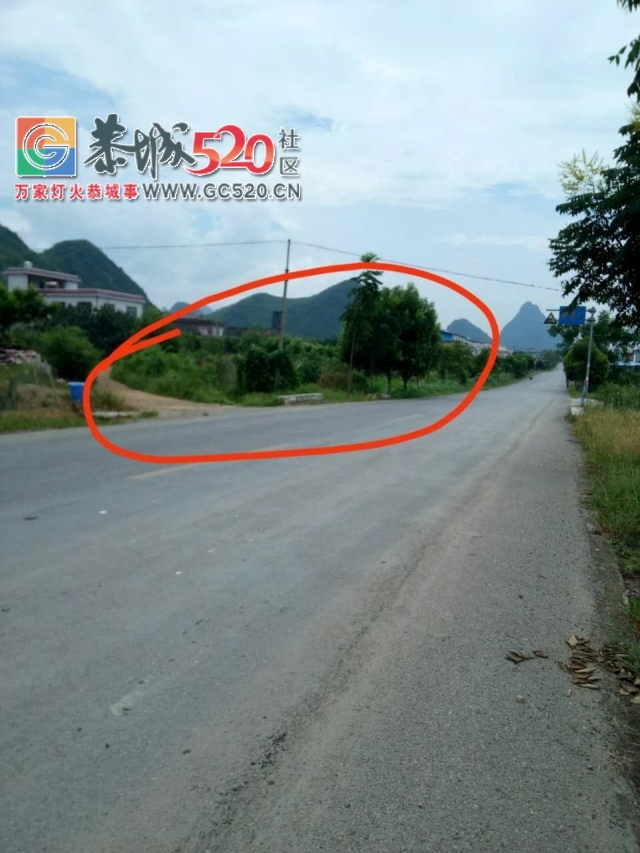 【恭城身边事】 虾里洞加油站附近突燃熊熊大火| 嘉会松林黄家厂路边绿化成安全“杀...285 / 作者:社区小编 / 帖子ID:235916