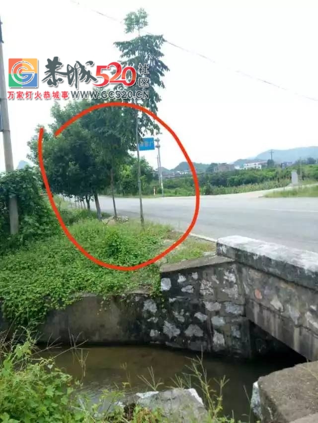 【恭城身边事】 虾里洞加油站附近突燃熊熊大火| 嘉会松林黄家厂路边绿化成安全“杀...263 / 作者:社区小编 / 帖子ID:235916