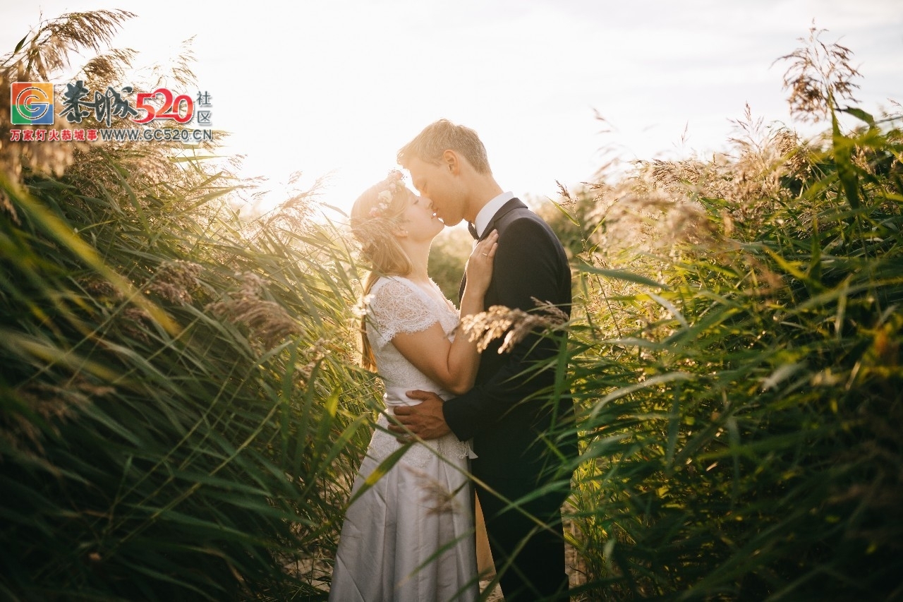最好的感情，相爱不依赖790 / 作者:花开似花落、 / 帖子ID:235937