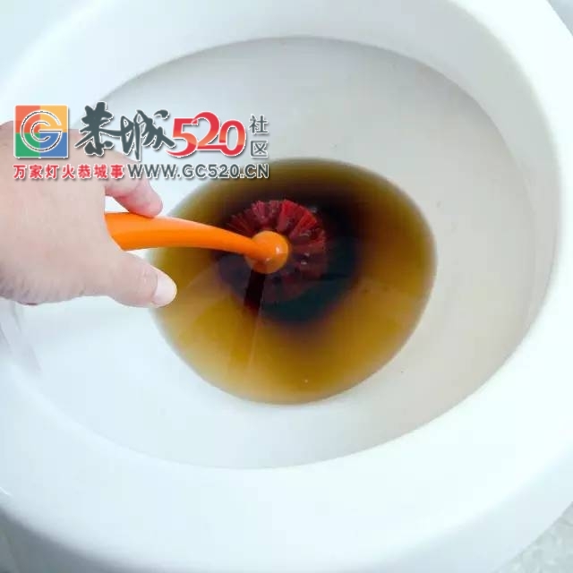 马桶水箱里放这个 再也不用刷马桶了！还省下大笔水费229 / 作者:花开似花落、 / 帖子ID:235938
