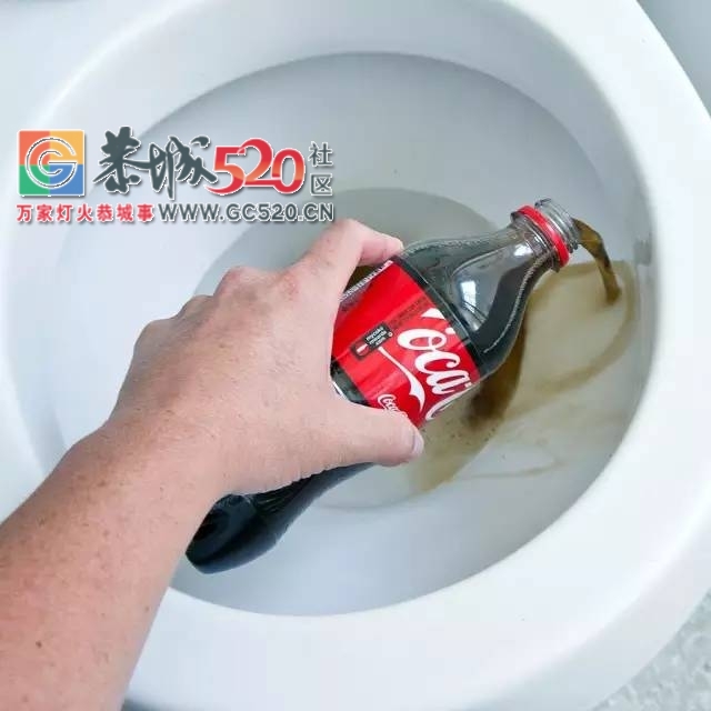 马桶水箱里放这个 再也不用刷马桶了！还省下大笔水费8 / 作者:花开似花落、 / 帖子ID:235938