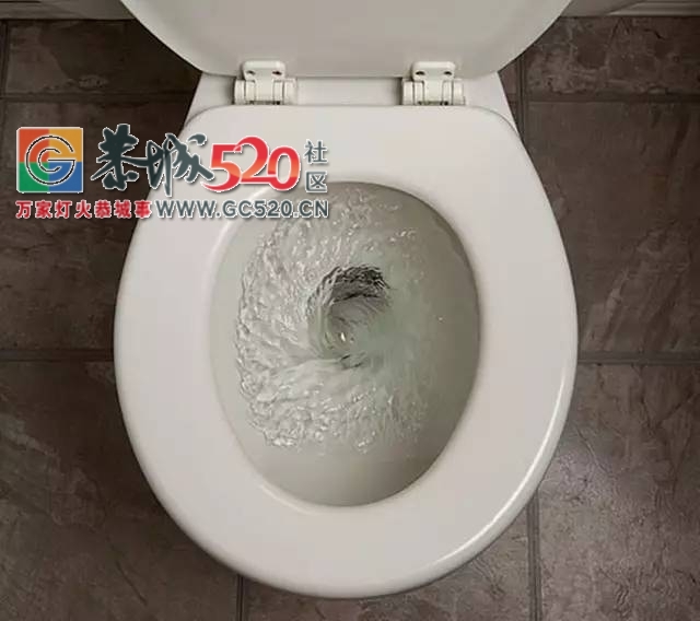 马桶水箱里放这个 再也不用刷马桶了！还省下大笔水费862 / 作者:花开似花落、 / 帖子ID:235938