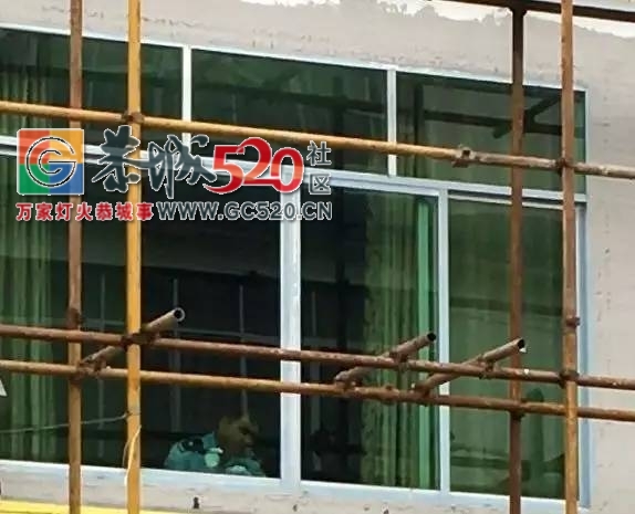 【注意】栗木街房屋外搭钢管架成了小偷的&amp;quot;楼梯&amp;quot;152 / 作者:社区小编 / 帖子ID:235963
