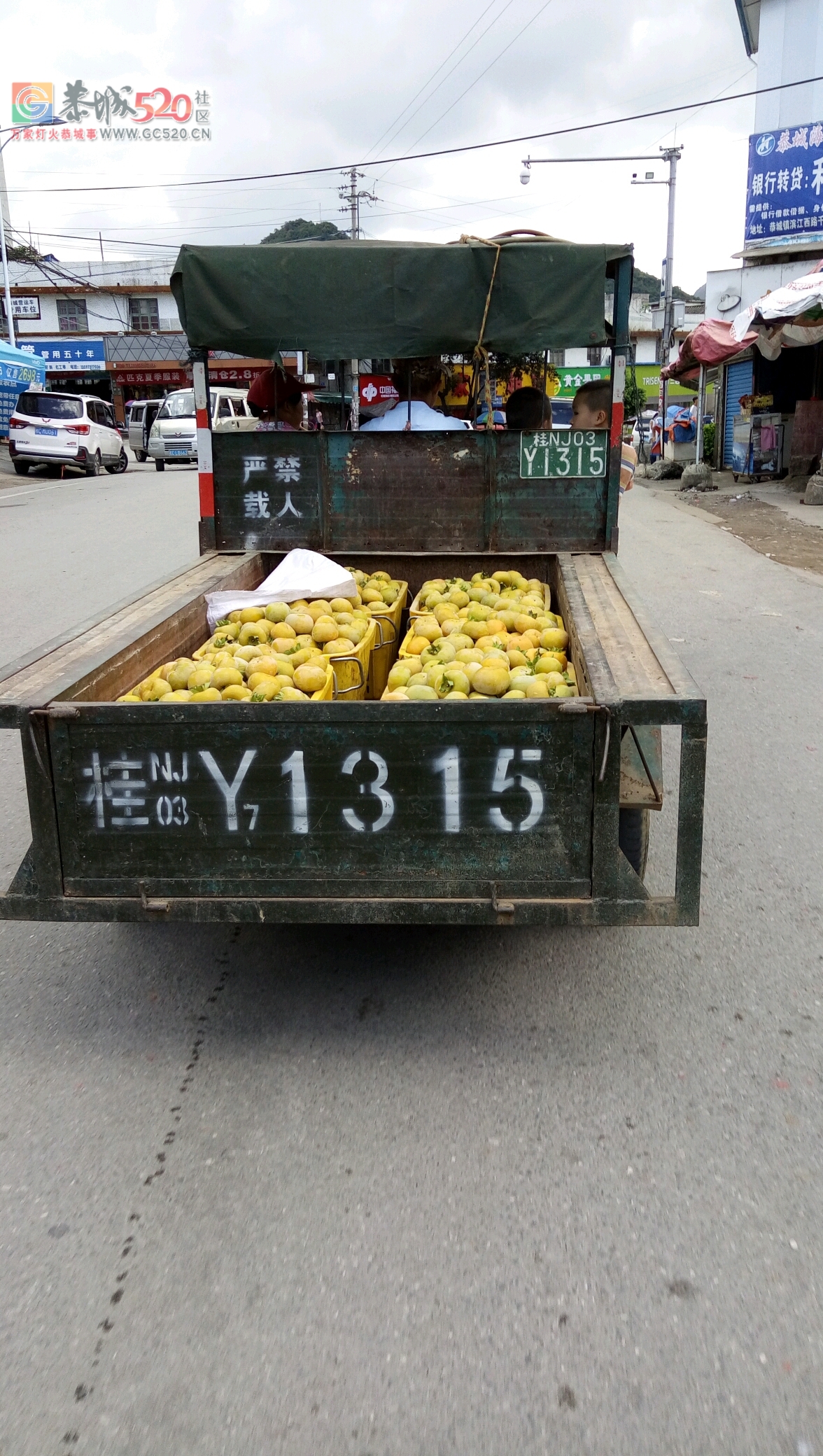可以收柿花了沒982 / 作者:莲花的农民 / 帖子ID:235978