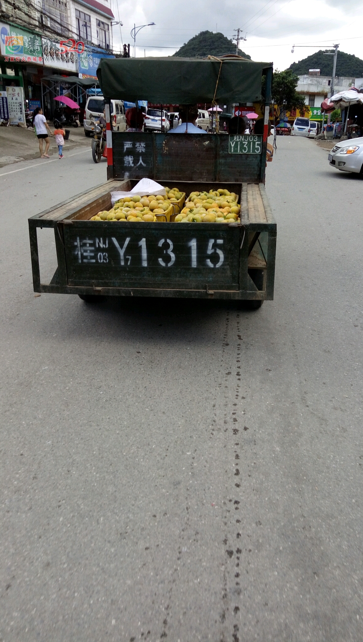 可以收柿花了沒120 / 作者:莲花的农民 / 帖子ID:235978