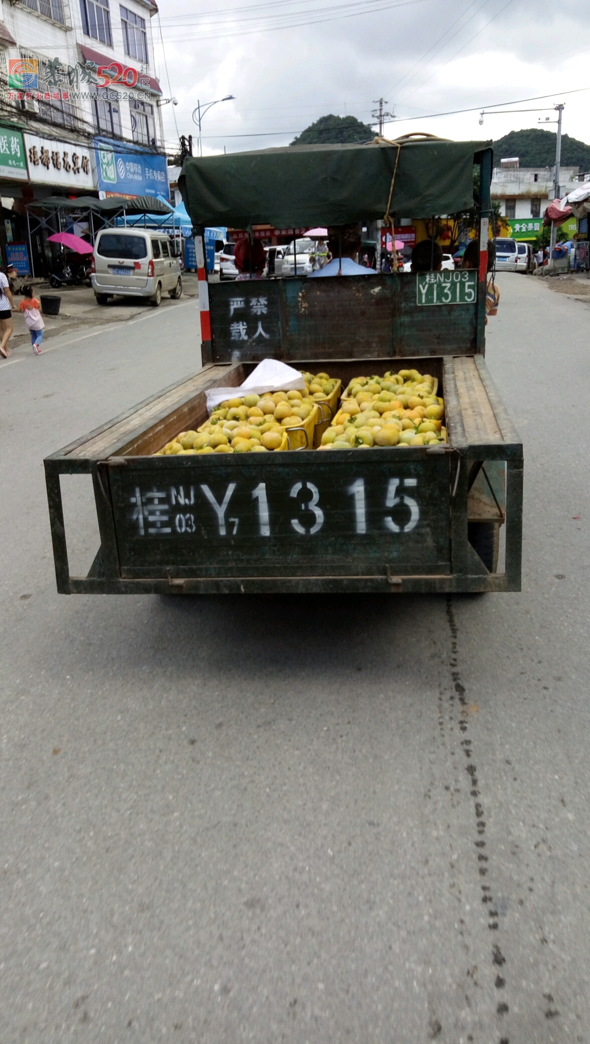 可以收柿花了沒305 / 作者:莲花的农民 / 帖子ID:235978