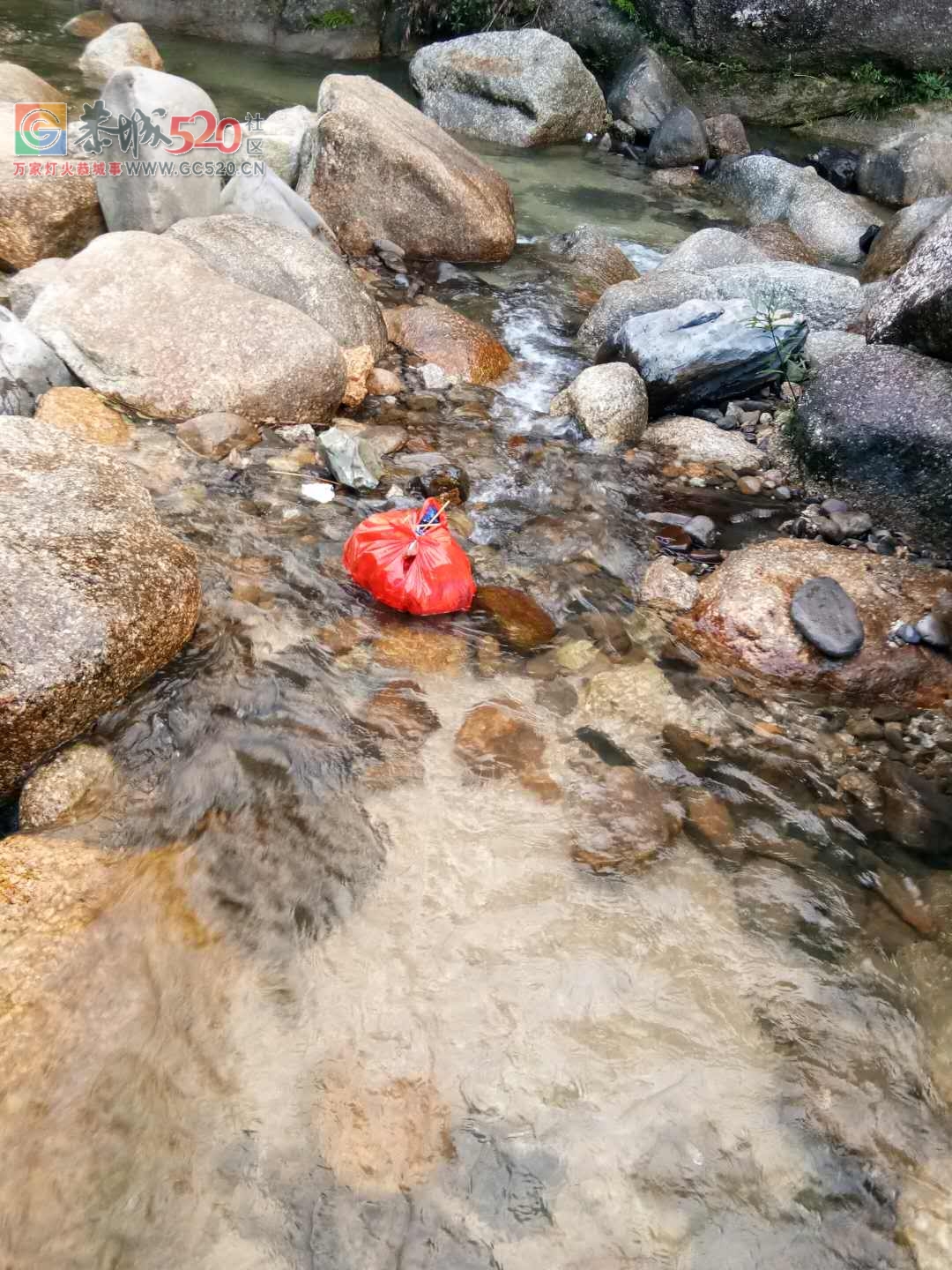 来霹雷石洗冷水凉的部分人素质低下，垃圾乱扔不说，还在河里拉屎拉尿实在可恶！627 / 作者:jphzy / 帖子ID:236066