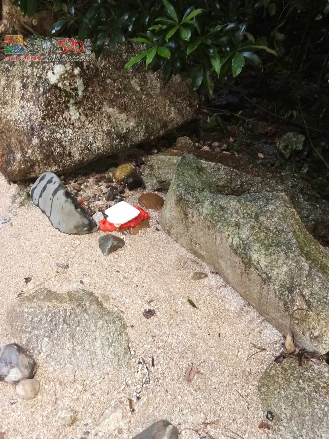 来霹雷石洗冷水凉的部分人素质低下，垃圾乱扔不说，还在河里拉屎拉尿实在可恶！546 / 作者:jphzy / 帖子ID:236066