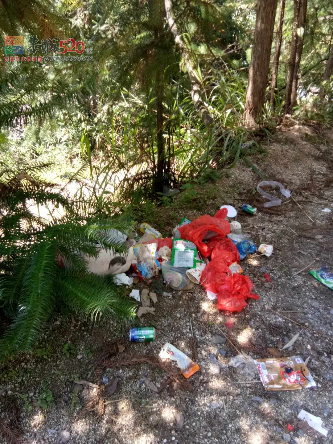 来霹雷石洗冷水凉的部分人素质低下，垃圾乱扔不说，还在河里拉屎拉尿实在可恶！396 / 作者:jphzy / 帖子ID:236066