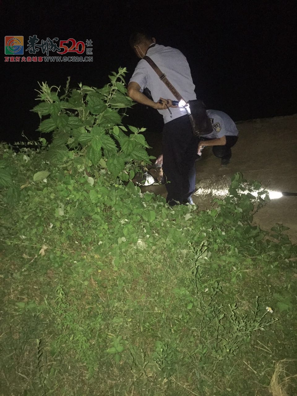 又一悲剧！昨晚龙虎水渠淹死个十多岁的娃仔！！39 / 作者:茶江人 / 帖子ID:236072