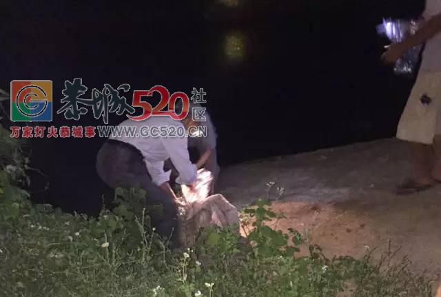 心痛！昨夜在龙虎水渠打捞起一具10岁左右的男孩遗体258 / 作者:社区小编 / 帖子ID:236113