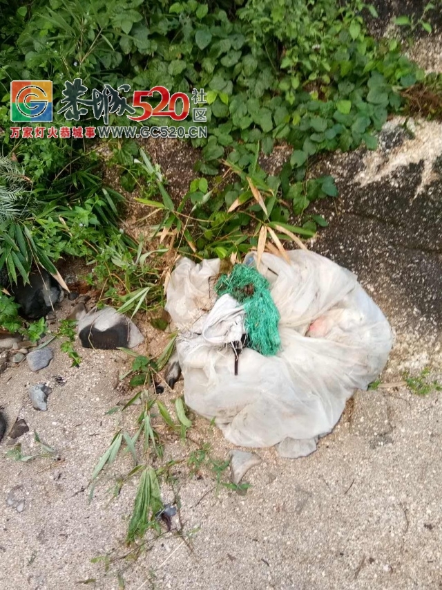 【恭城身边事】 怒斥这些游客！平安下乡源雷劈石是你的垃圾站吗?681 / 作者:社区小编 / 帖子ID:236120