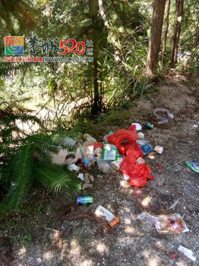 【恭城身边事】 怒斥这些游客！平安下乡源雷劈石是你的垃圾站吗?972 / 作者:社区小编 / 帖子ID:236120