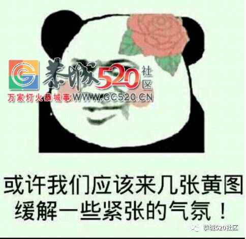 你也爱这种“黄黄的”？快，恭城的老司机们带你上车~869 / 作者:社区小编 / 帖子ID:236180