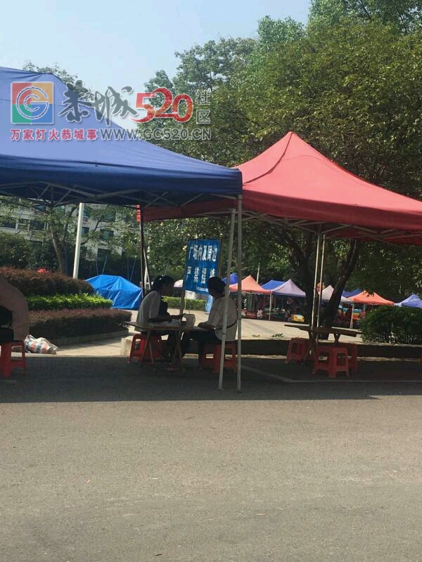 恭城广场这里摆摊车位都被占了，附近禁停的牌子是摆设吗？282 / 作者:不放手 / 帖子ID:236221