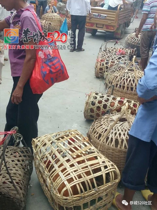 【恭城身边事】嘉会猪仔行却变样成了停车场| 中心广场摊位、车位该如何平衡140 / 作者:社区小编 / 帖子ID:236234