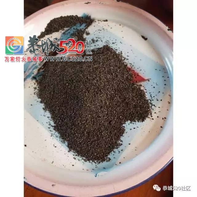 恭城狗舌粑——我们包的不是粑粑，而是恭城过节独有的一种味道。443 / 作者:jphzy / 帖子ID:236353
