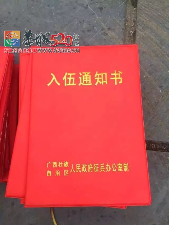 恭城举行新兵入伍欢送仪式 | 91名热血男儿光荣踏上军旅征程！83 / 作者:社区小编 / 帖子ID:236485