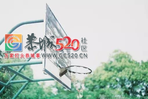 教师节| 这个视频,感动了无数人…献给生命中的老师！516 / 作者:社区小编 / 帖子ID:236520