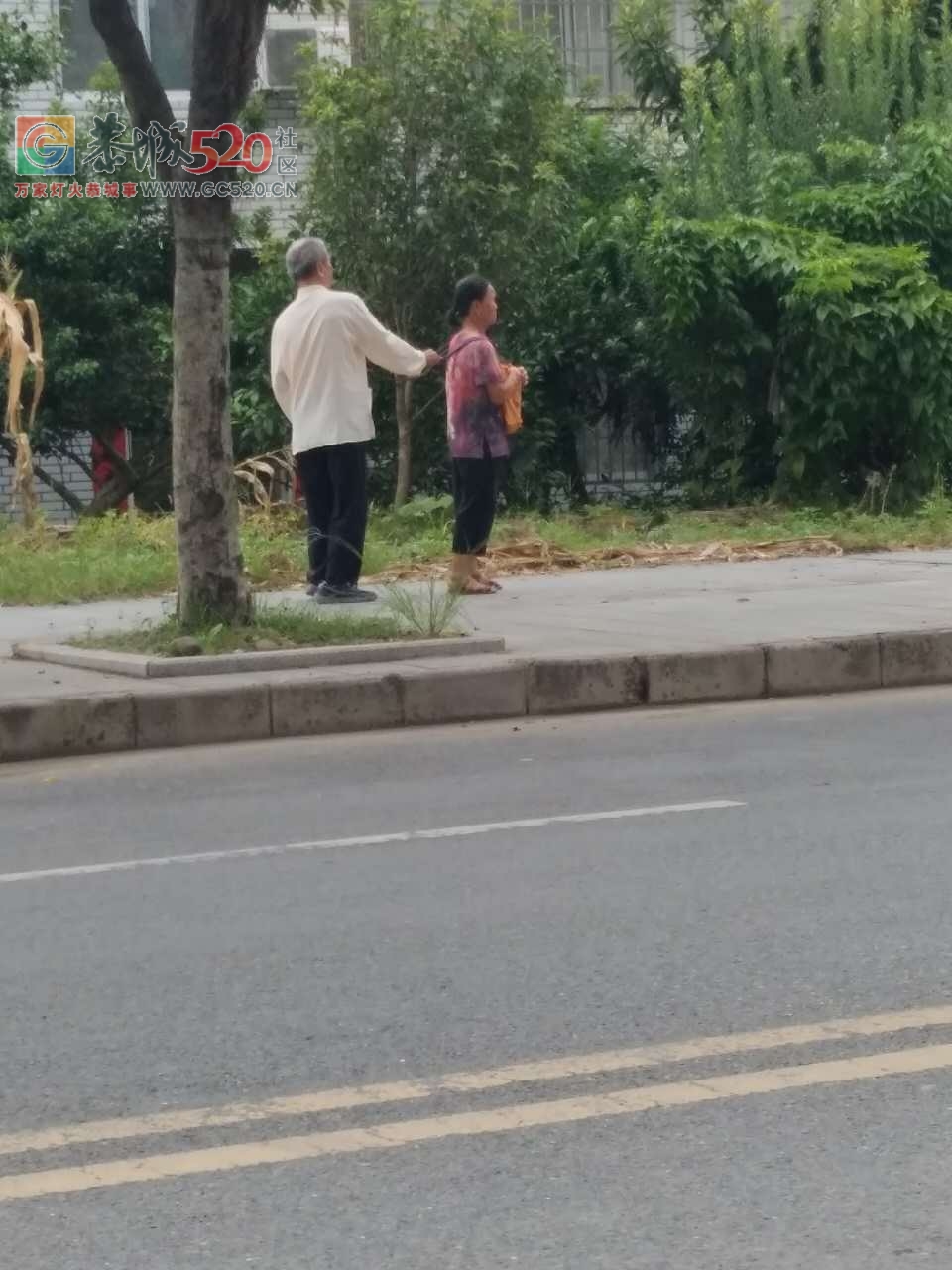 恭城真实版，你是我的眼，不离不弃，感动！664 / 作者:jphzy / 帖子ID:236523