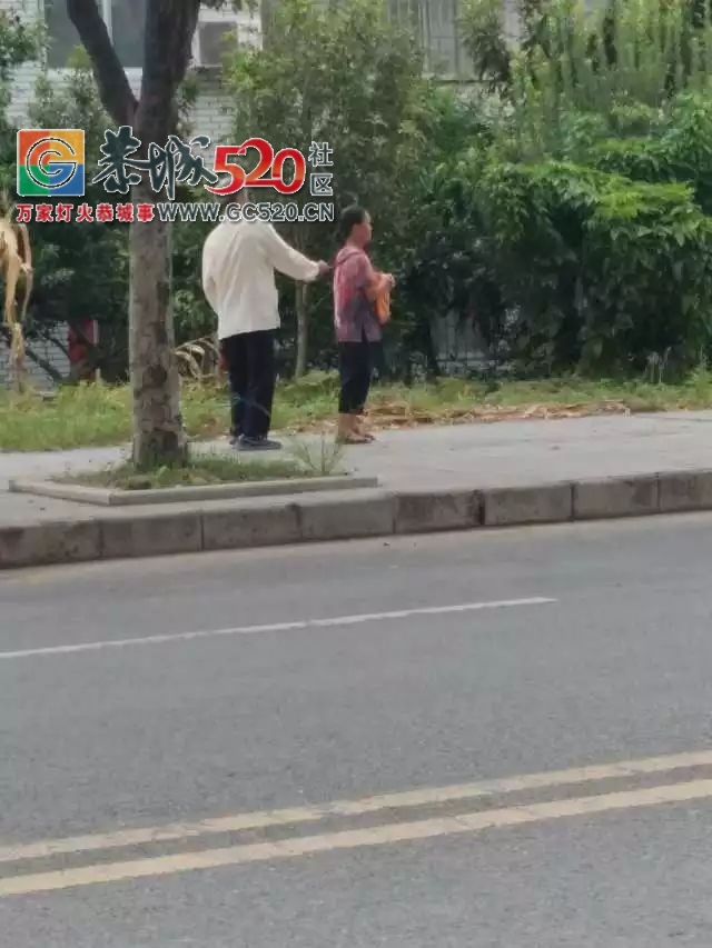 【恭城身边事】感人！现实版《你是我的眼》在恭城上演|西岭：部分商贩明目张胆占道...115 / 作者:社区小编 / 帖子ID:236553