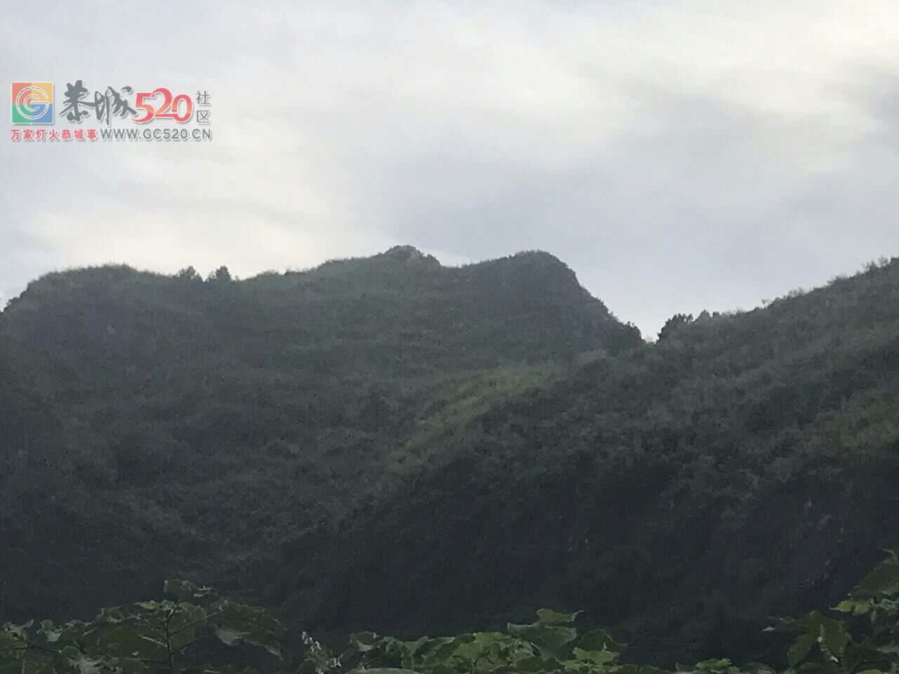 恭城化育村惊现‘’平安佛山体‘’945 / 作者:茶江人 / 帖子ID:236613